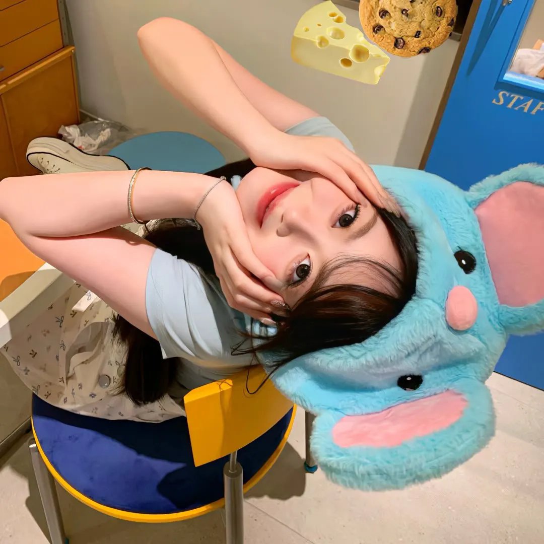 避难兔