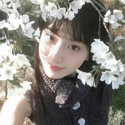 白鸥啊 不要飞起来